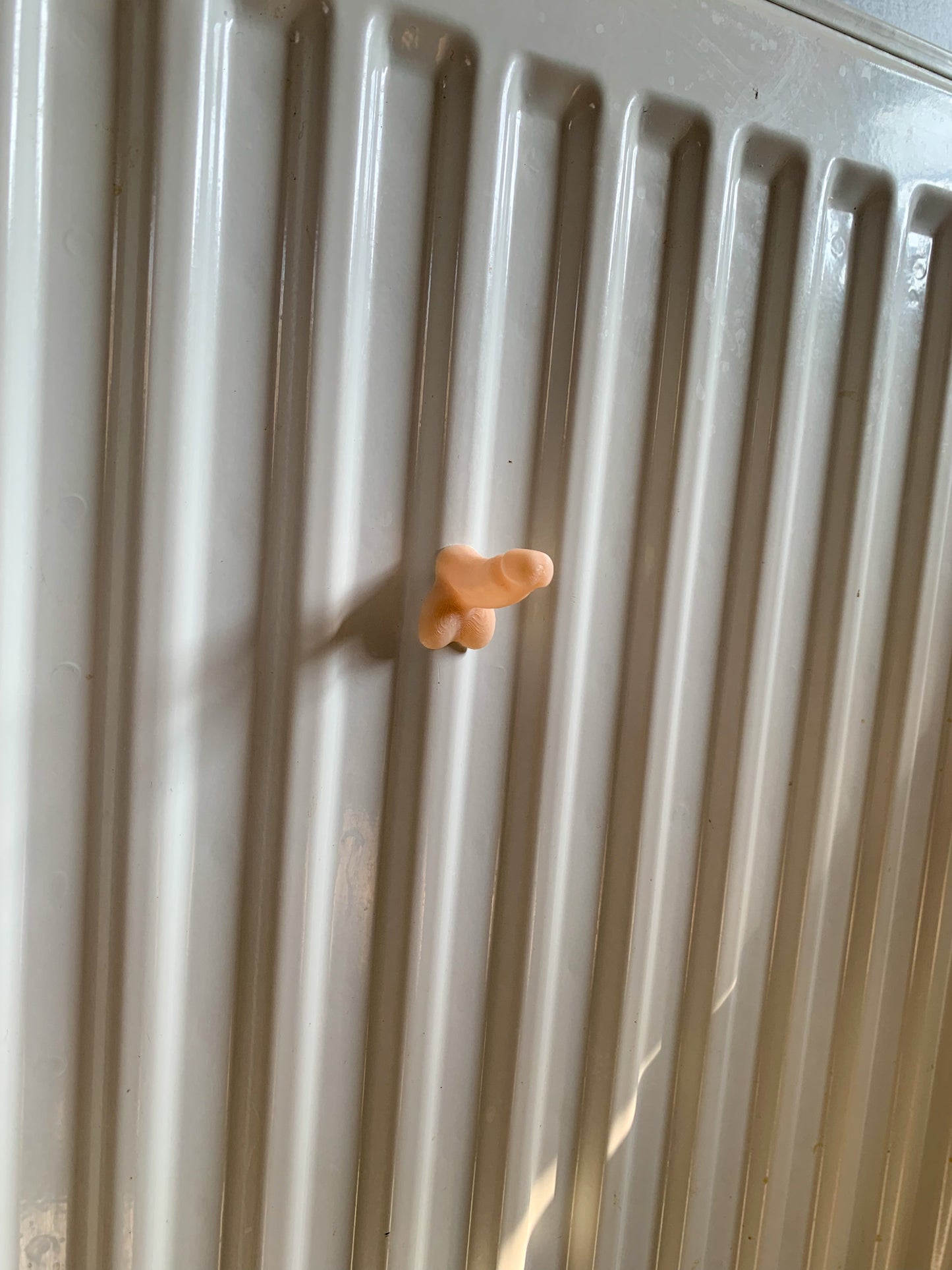 Penis Magnets